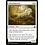 Magic: The Gathering Silverchase Fox (106) Lightly Played