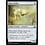 Magic: The Gathering Peace Strider (243) Lightly Played