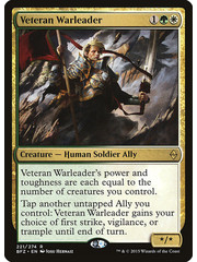 Magic: The Gathering Veteran Warleader (221) Moderately Played
