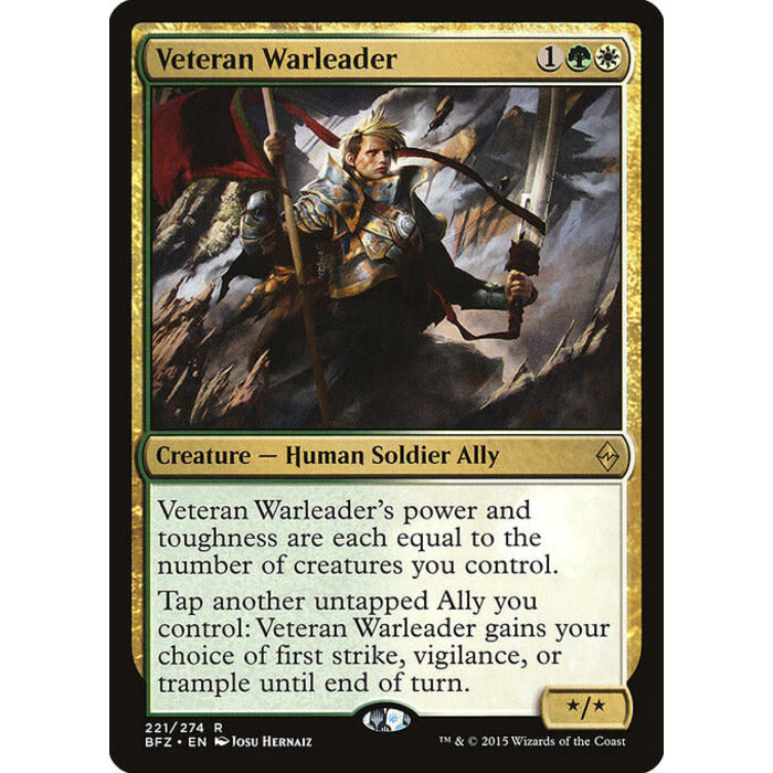 Magic: The Gathering Veteran Warleader (221) Moderately Played