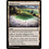 Magic: The Gathering Blighted Fen (230) Moderately Played