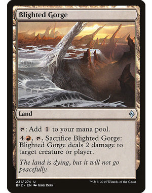 Magic: The Gathering Blighted Gorge (231) Lightly Played