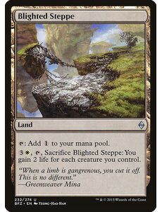 Magic: The Gathering Blighted Steppe (232) Lightly Played