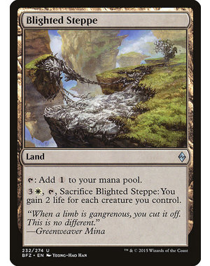 Magic: The Gathering Blighted Steppe (232) Lightly Played