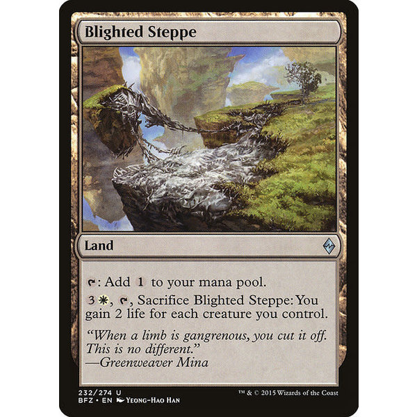 Magic: The Gathering Blighted Steppe (232) Lightly Played