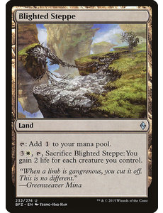 Magic: The Gathering Blighted Steppe (232) Moderately Played Foil