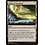 Magic: The Gathering Blighted Woodland (233) Lightly Played