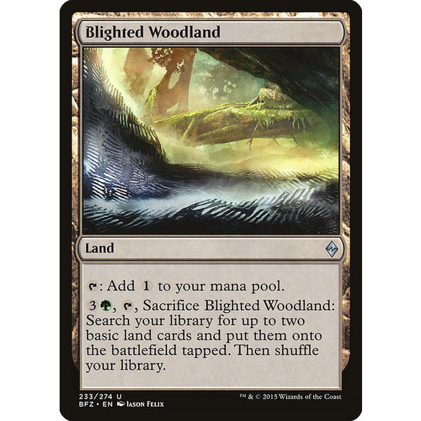 Magic: The Gathering Blighted Woodland (233) Moderately Played