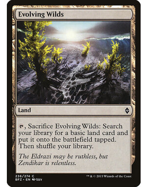 Magic: The Gathering Evolving Wilds (236) Lightly Played Foil