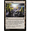 Magic: The Gathering Evolving Wilds (236) Lightly Played Foil