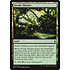 Magic: The Gathering Fertile Thicket (237) Lightly Played