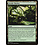 Magic: The Gathering Fertile Thicket (237) Moderately Played