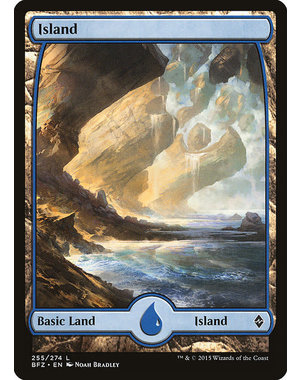 Magic: The Gathering Island (255) Lightly Played