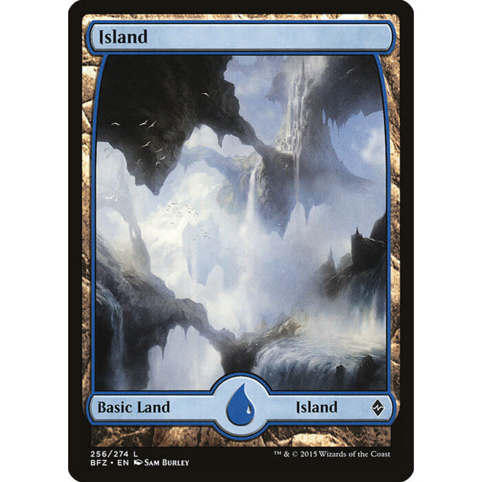 Magic: The Gathering Island (256) Moderately Played
