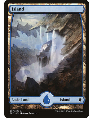 Magic: The Gathering Island (257) Lightly Played