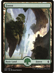 Magic: The Gathering Forest (272) Lightly Played