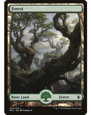 Magic: The Gathering Forest (274) Lightly Played