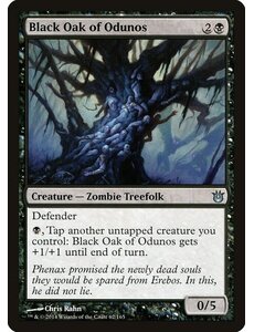 Magic: The Gathering Black Oak of Odunos (062) Lightly Played
