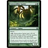 Magic: The Gathering Graverobber Spider (122) Lightly Played