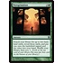 Magic: The Gathering Peregrination (132) Lightly Played