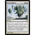 Magic: The Gathering Final Judgment (004) Near Mint