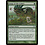 Magic: The Gathering Genju of the Cedars (126) Lightly Played