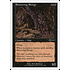 Magic: The Gathering Skittering Skirge (031) Moderately Played