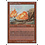 Magic: The Gathering Ball Lightning (035) Moderately Played