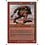 Magic: The Gathering Thundering Giant (049) Moderately Played