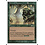 Magic: The Gathering Force of Nature (056) Moderately Played