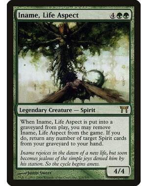 Magic: The Gathering Iname, Life Aspect (215) Heavily Played