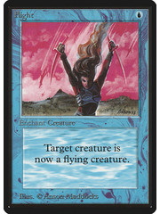 Magic: The Gathering Flight (059) Damaged