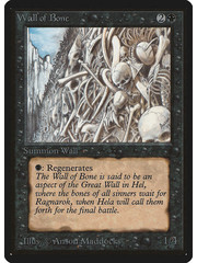 Magic: The Gathering Wall of Bone (133) Heavily Played