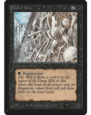 Magic: The Gathering Wall of Bone (133) Heavily Played