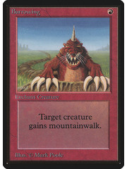 Magic: The Gathering Burrowing (139) Damaged