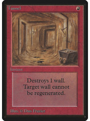 Magic: The Gathering Tunnel (179) Heavily Played