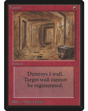 Magic: The Gathering Tunnel (179) Heavily Played