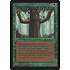 Magic: The Gathering Ironroot Treefolk (204) Heavily Played