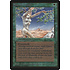 Magic: The Gathering Shanodin Dryads (217) Heavily Played