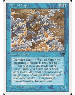 Magic: The Gathering Wall of Vapor (027) Heavily Played