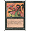 Magic: The Gathering Hasran Ogress (034) Heavily Played