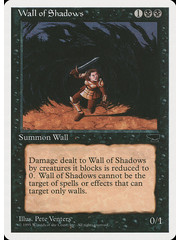Magic: The Gathering Wall of Shadows (041) Heavily Played
