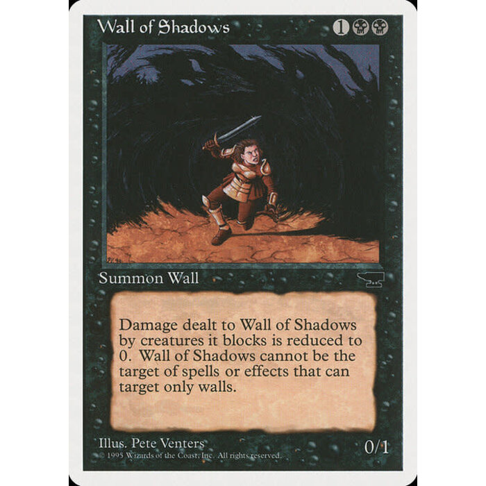 Magic: The Gathering Wall of Shadows (041) Heavily Played