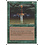 Magic: The Gathering Storm Seeker (070) Damaged