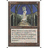 Magic: The Gathering Sentinel (107) Moderately Played