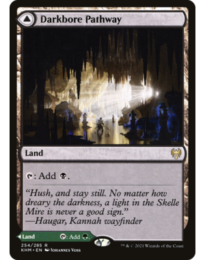 Magic: The Gathering Darkbore Pathway (254) Lightly Played