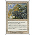 Magic: The Gathering Animate Wall (001) Heavily Played