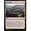 Magic: The Gathering Ash Barrens (056) Lightly Played