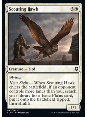 Magic: The Gathering Scouting Hawk (041) Near Mint