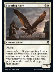 Magic: The Gathering Scouting Hawk (041) Near Mint